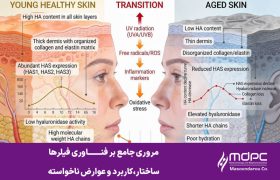 مروری جامع بر فناوری فیلرها، ساختار،کاربرد و عوارض ناخواسته